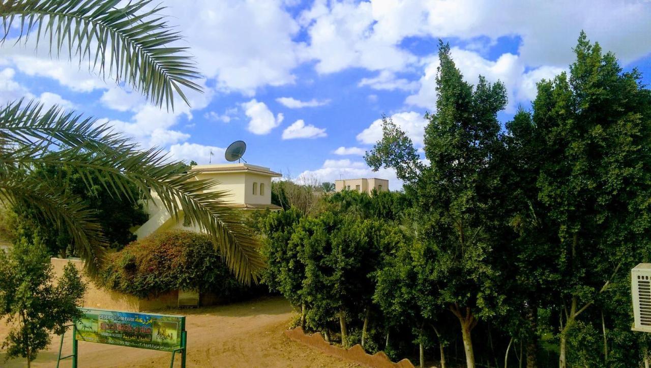 The Farm - Hotel & Horse Riding Kairo Exterior foto