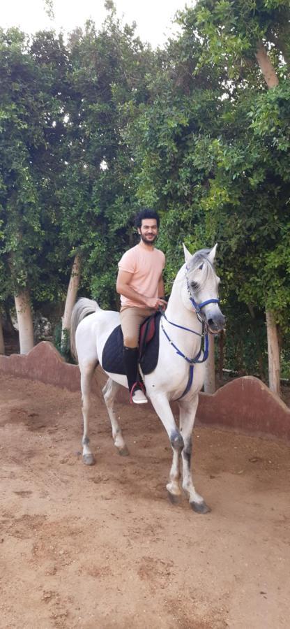 The Farm - Hotel & Horse Riding Kairo Exterior foto