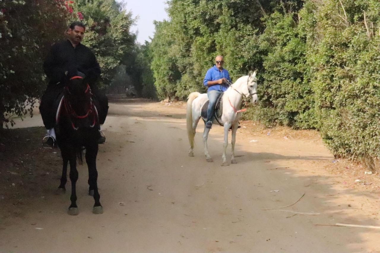 The Farm - Hotel & Horse Riding Kairo Exterior foto