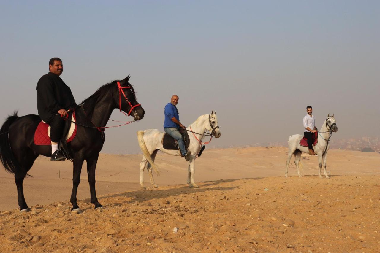 The Farm - Hotel & Horse Riding Kairo Exterior foto