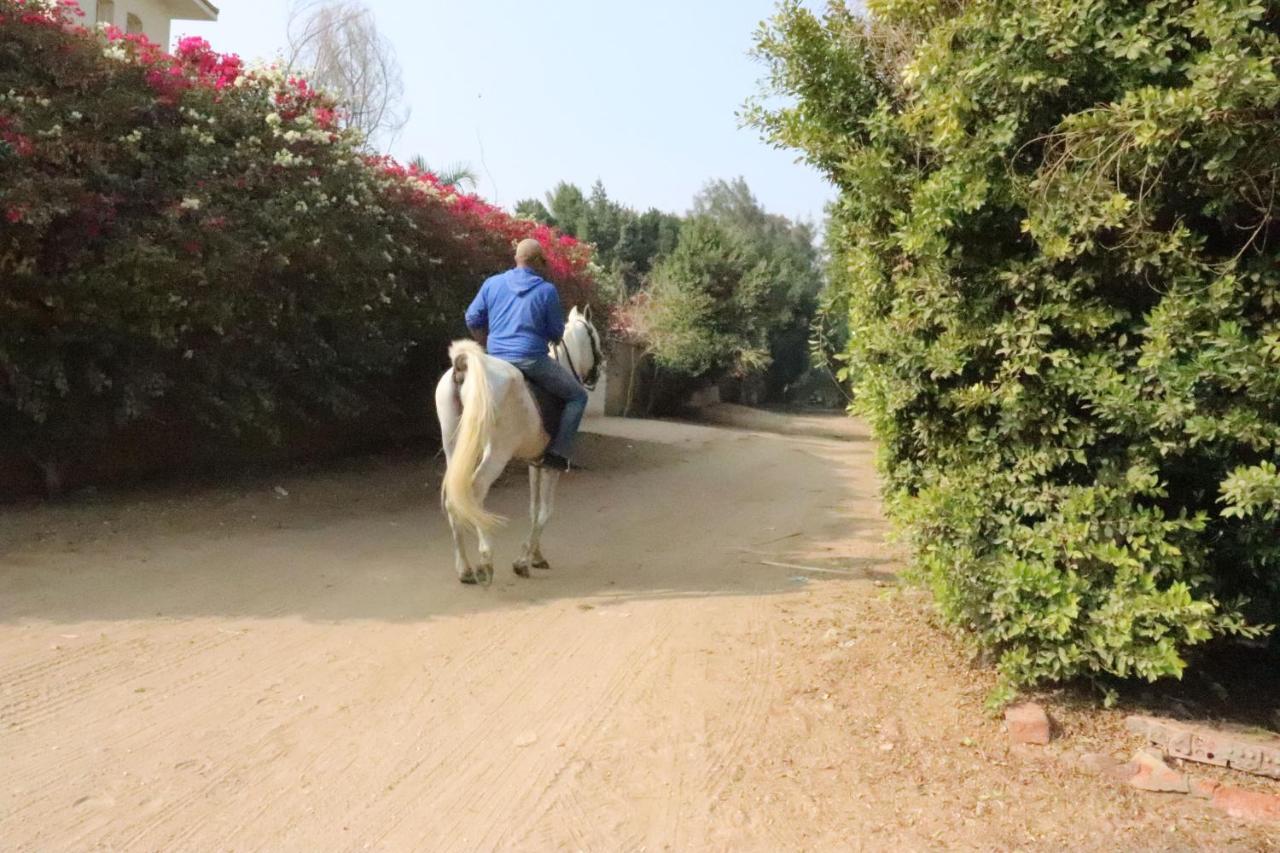 The Farm - Hotel & Horse Riding Kairo Exterior foto