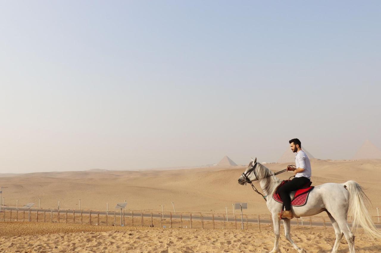 The Farm - Hotel & Horse Riding Kairo Exterior foto